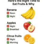 a-guide-to-strategic-nutrient-timing-optimizing-your-diet-from-morning-to-night-HNAV
